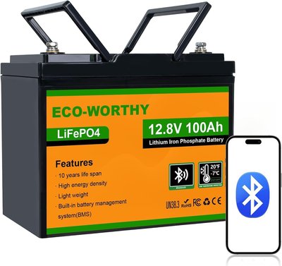 ECO-WORTHY 12V 100Ah BCI Group 24